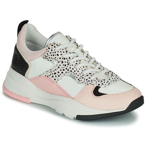 Baskets basses Ted Baker IZSLA - Ted Baker - Modalova