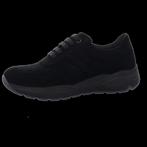 Baskets basses Solidus - Solidus - Modalova