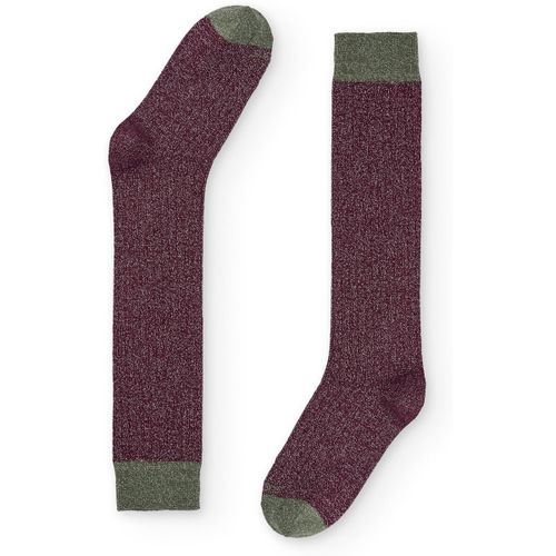Chaussettes Naive LUREX36L - Naive - Modalova