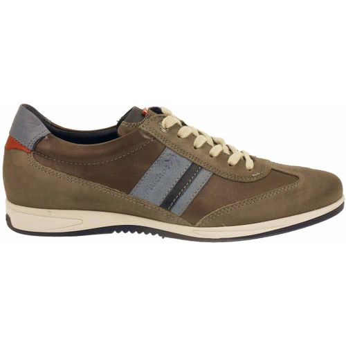 Baskets basses Fluchos 9713-grafito - Fluchos - Modalova