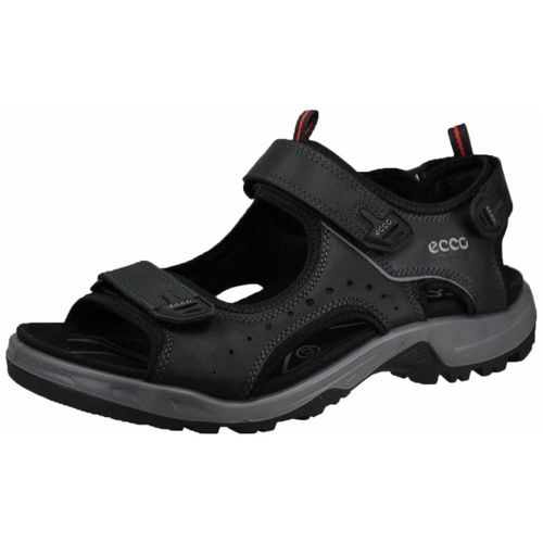 Chaussures Ecco - Ecco - Modalova