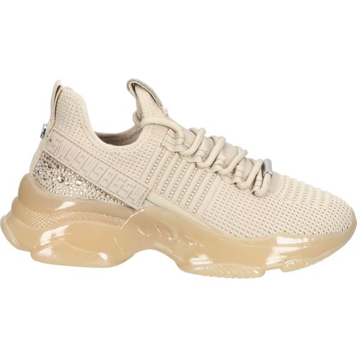 Baskets basses Steve Madden Sneaker - Steve Madden - Modalova