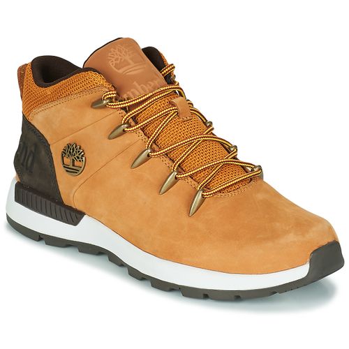 Baskets montantes SPRINT TREKKER MID - Timberland - Modalova