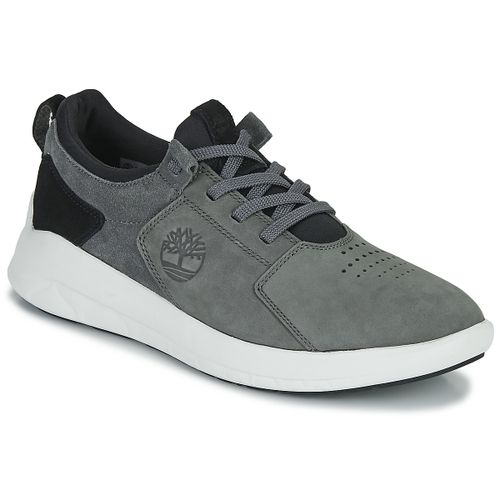 Baskets basses BRADSTREET ULTRA - Timberland - Modalova