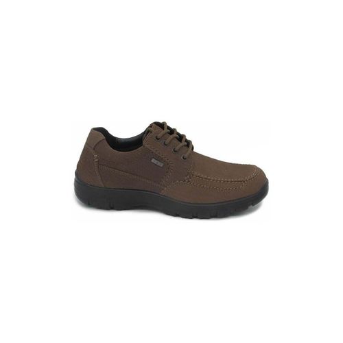 Chaussures Alviflex A7825 - Alviflex - Modalova