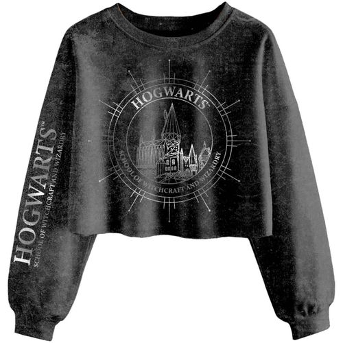 Sweatshirts Hogwarts Constellation - Harry Potter - Modalova