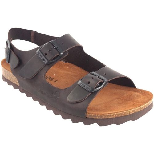 Sandales Sandale INTER BIOS 9567-sm marron - Interbios - Modalova