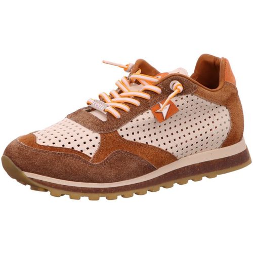 Baskets basses Cetti - Cetti - Modalova