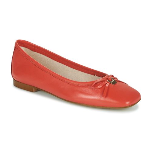 Ballerines JB Martin VIRTUOSE - JB Martin - Modalova