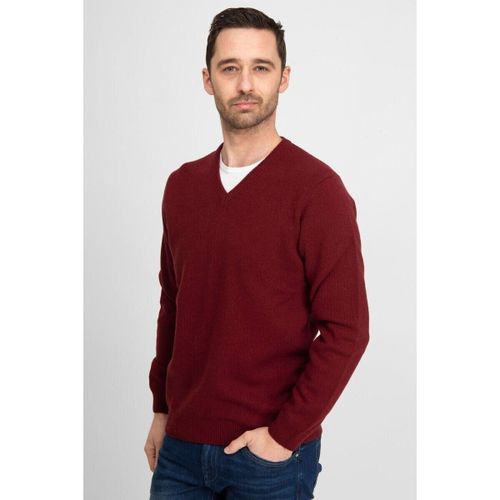 Sweatshirts Pull Agneline Col-V Bordeaux - Suitable - Modalova