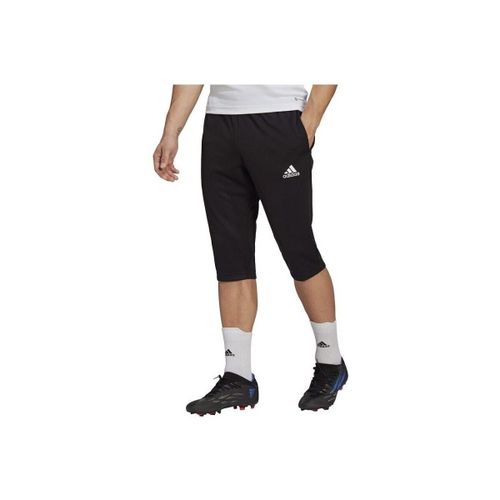Pantalon adidas Entrada 22 - adidas - Modalova