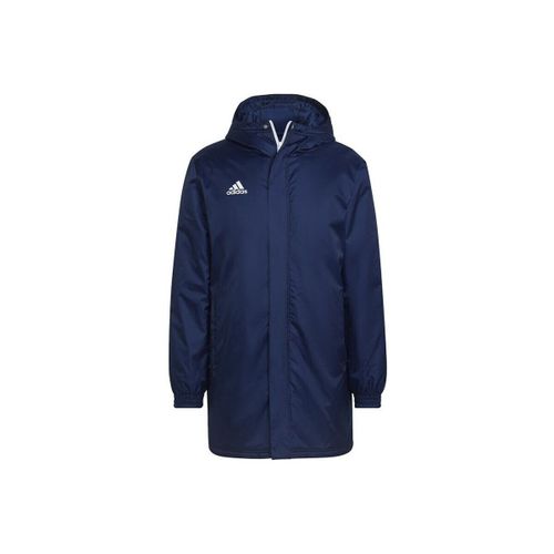 Parka adidas Entrada 22 Stadium - adidas - Modalova