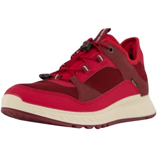 Baskets Ecco - Ecco - Modalova