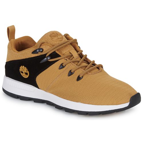 Baskets basses SPRINT TREKR LOW KNIT - Timberland - Modalova