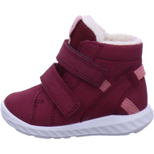 Chaussons bébé Ecco - Ecco - Modalova