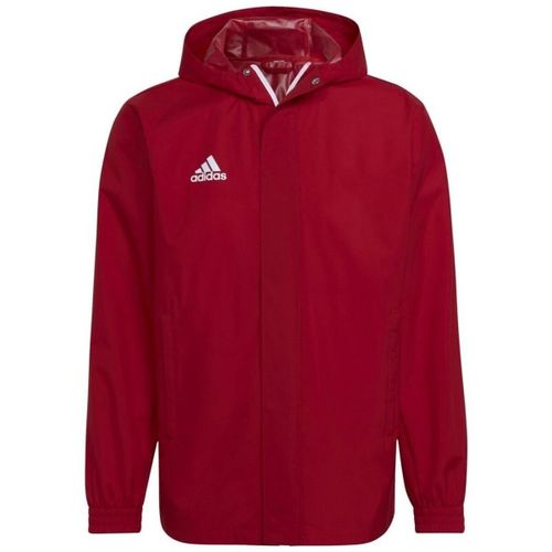 Blouson adidas - adidas - Modalova