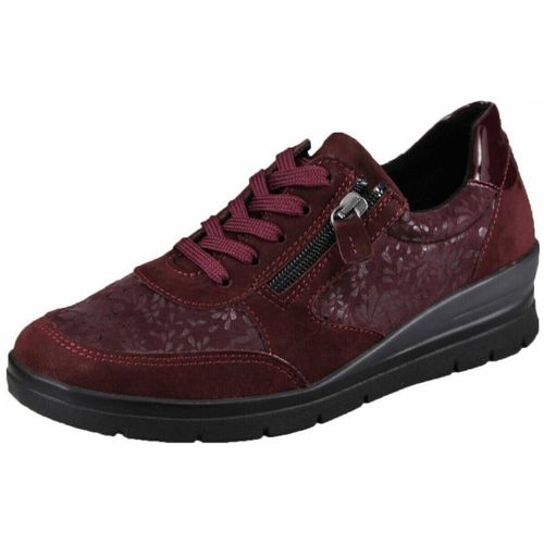 Baskets basses Aco - Aco - Modalova