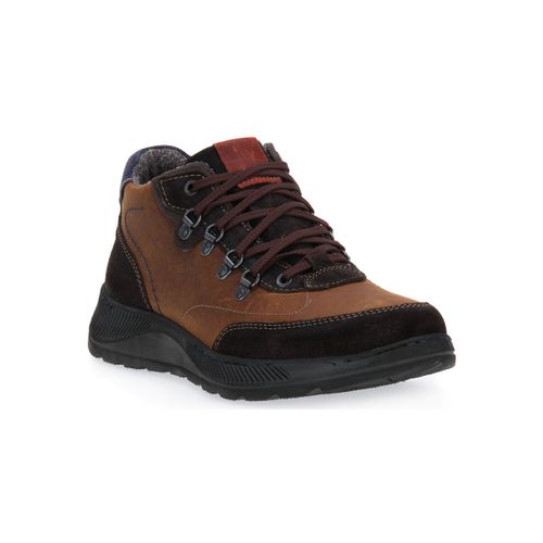 Chaussures Zen CIOCO WHEAT - Zen - Modalova