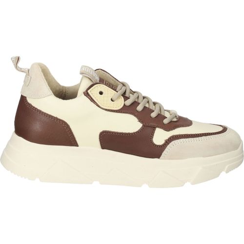 Baskets basses Steve Madden Sneaker - Steve Madden - Modalova