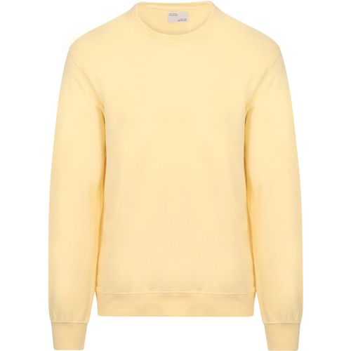 Sweatshirts Pull Jaune - Colorful Standard - Modalova