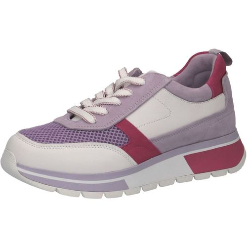 Baskets basses Caprice Sneaker - Caprice - Modalova