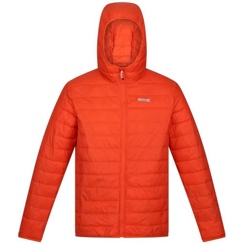 Blouson Regatta Hillpack - Regatta - Modalova