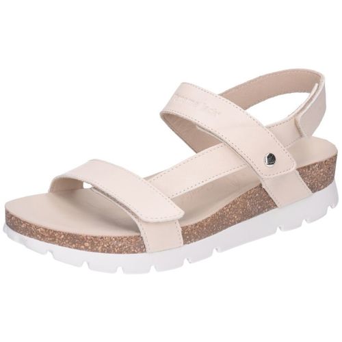 Sandales Panama Jack - Panama Jack - Modalova