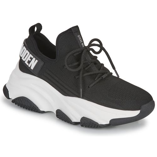 Baskets basses PROTEGE-E - Steve Madden - Modalova