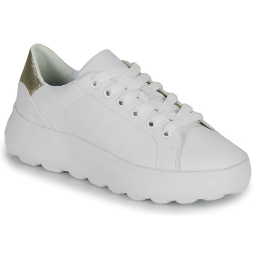 Baskets basses D SPHERICA EC4.1 SNEAKERS - Geox - Modalova