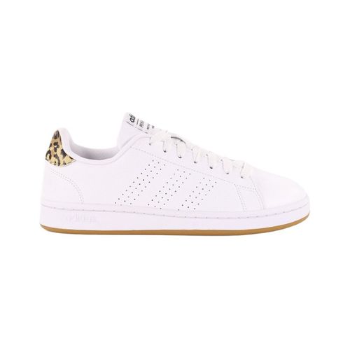 Baskets basses adidas Advantage - adidas - Modalova