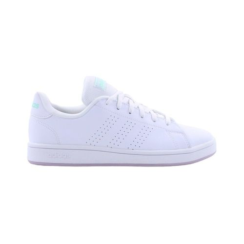 Baskets basses Advantage Base - adidas - Modalova
