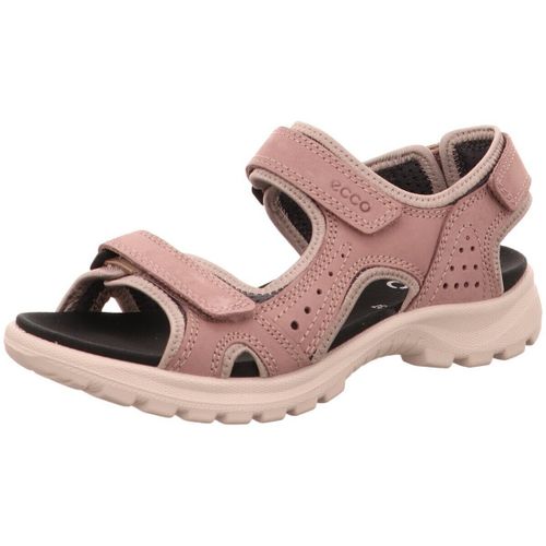 Chaussures Ecco - Ecco - Modalova