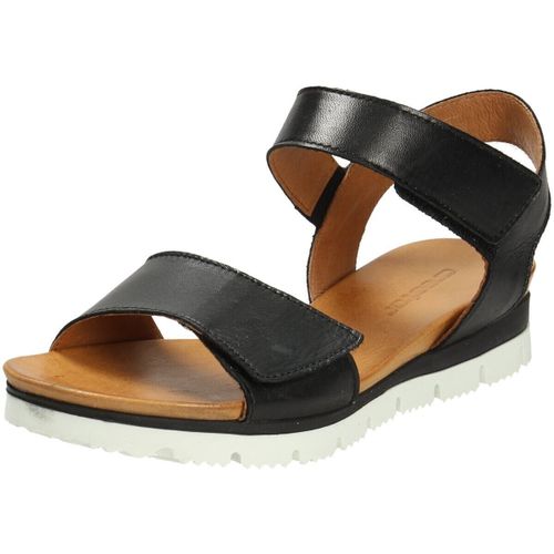 Sandales compensées Creator - Creator - Modalova