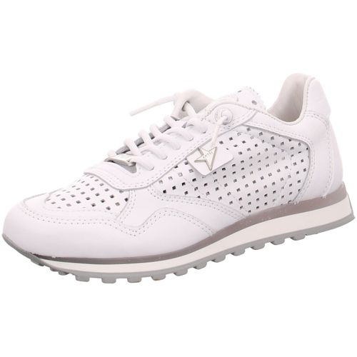 Baskets basses Cetti - Cetti - Modalova