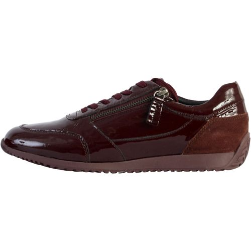 Baskets basses Basket Basse Cuir Calithe - Geox - Modalova