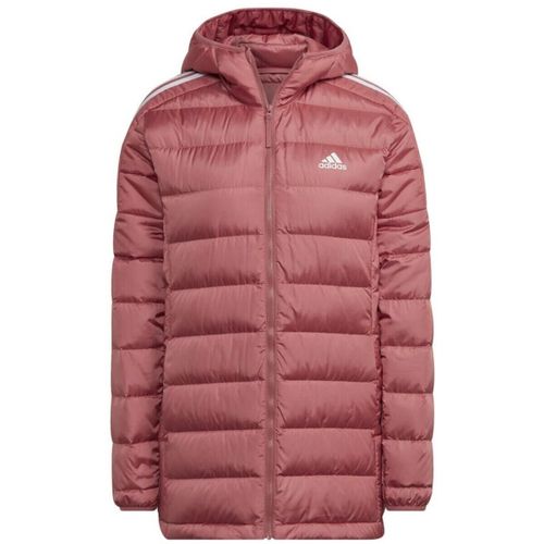Blouson adidas - adidas - Modalova