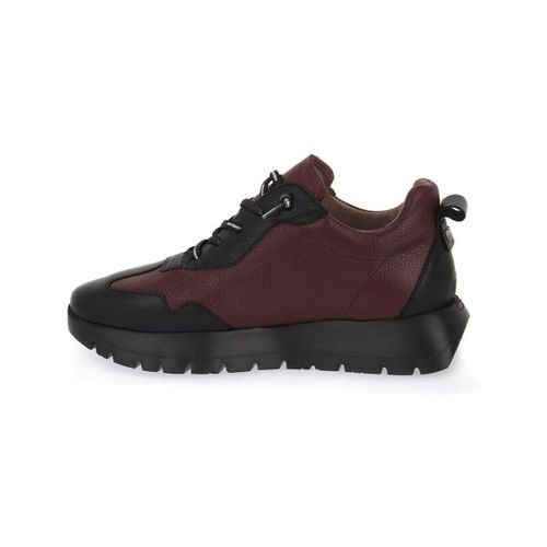 Baskets basses Wonders Betfly Negro - Wonders - Modalova