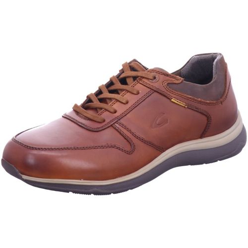 Baskets basses Camel Active - Camel Active - Modalova