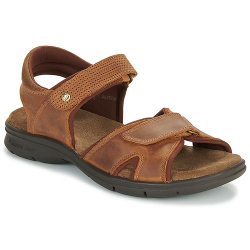 Sandales SANDERS BASICS C4 - Panama Jack - Modalova