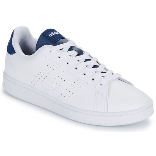 Baskets basses adidas ADVANTAGE - adidas - Modalova