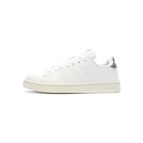 Baskets basses adidas Advantage - adidas - Modalova