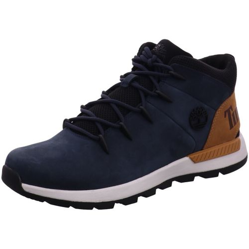 Baskets basses Timberland - Timberland - Modalova