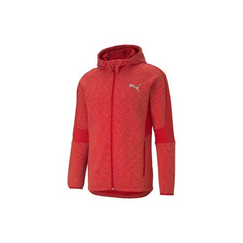 Sweatshirts à capuche EVOSTRIPE FULL-ZIP - Puma - Modalova
