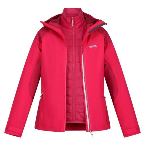 Blouson Regatta Wentwood VII - Regatta - Modalova