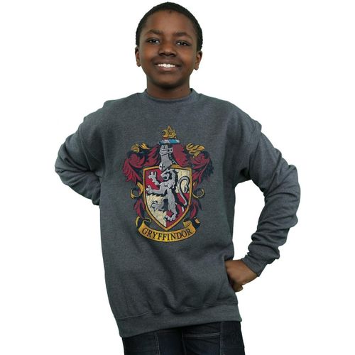 Sweatshirts Harry Potter BI1055 - Harry Potter - Modalova