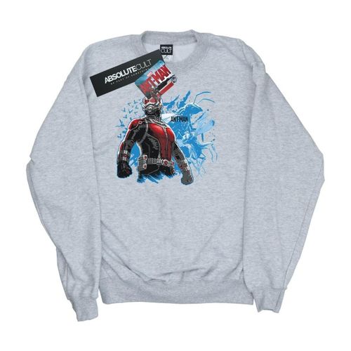 Sweat-shirt Ant-Man Standing - Ant-Man - Modalova