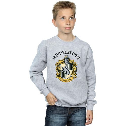 Sweatshirts Harry Potter BI1879 - Harry Potter - Modalova
