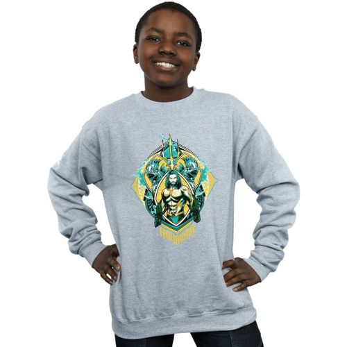 Sweatshirts Dc Comics BI6310 - Dc Comics - Modalova