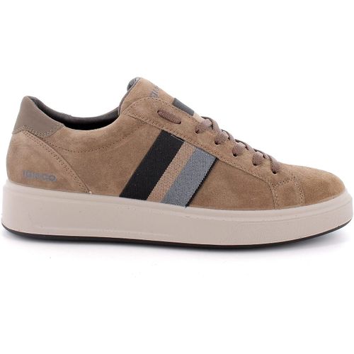 Baskets basses IgI&CO 4638355 - IgI&CO - Modalova