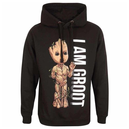 Sweatshirts à capuche HE1776 - Marvel - Modalova